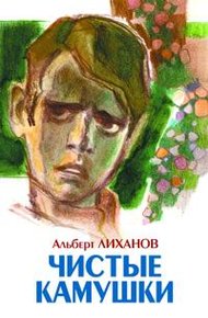 Обложка книги Чистые камушки