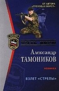 Обложка книги Взлет «Стрелы»