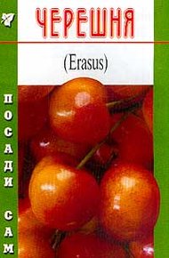 Обложка книги Черешня