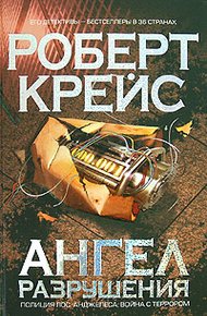 Обложка книги Ангел разрушения