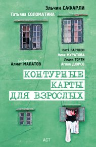 Обложка книги Сонина Америка