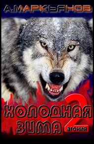 Обложка книги Холодная Зима