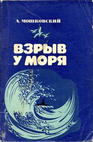 Обложка книги Взрыв у моря