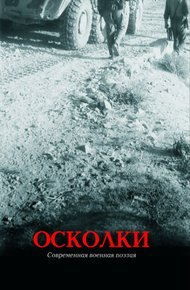 Обложка книги Осколки