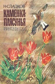 Обложка книги Каменка-плясунья