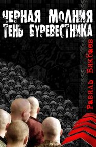 Обложка книги Черная молния. Тень буревестника