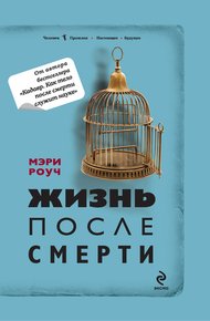 Обложка книги Жизнь после смерти