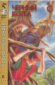 Обложка книги Чёрный котёл