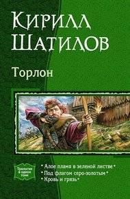 Обложка книги Под флагом серо-золотым