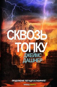 Обложка книги Сквозь Топку