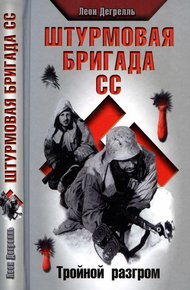 Обложка книги Штурмовая бригада СС. Тройной разгром