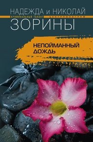 Обложка книги Непойманный дождь