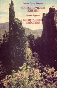 Обложка книги Донести учение живым
