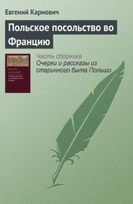Обложка книги Польское посольство во Францию