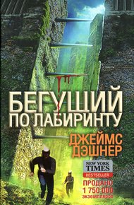 Обложка книги Бегущий по Лабиринту
