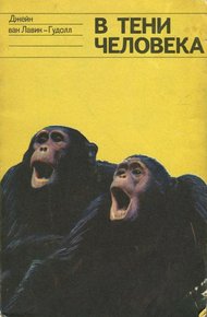 Обложка книги В тени человека