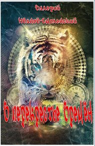 Обложка книги В перекрестье Времён