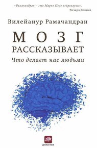 Обложка книги Мозг рассказывает. Что делает нас людьми