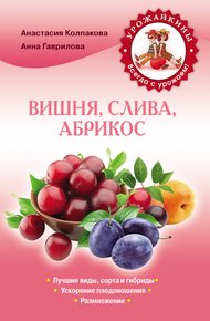 Обложка книги Вишня, слива, абрикос
