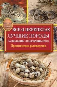 Все о перепелах. Лучшие породы