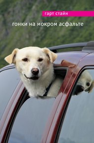 Обложка книги Гонки на мокром асфальте