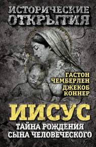 Обложка книги Иисус. Тайна рождения Сына Человеческого