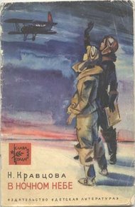 Обложка книги В ночном небе