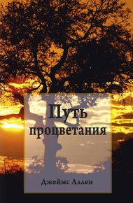 Обложка книги Путь процветания
