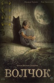 Обложка книги Волчок