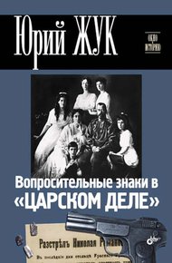 Обложка книги Вопросительные знаки в «Царском деле»