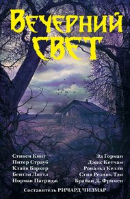 Обложка книги Вечерний свет