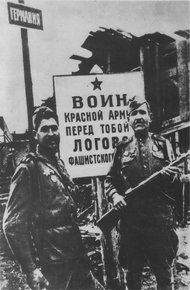 Обложка книги По следам "двух миллионов изнасилованных немок"