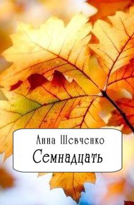 Семнадцать(СИ)