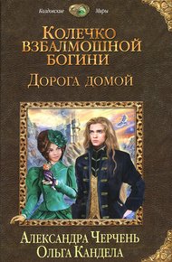 Обложка книги Дорога домой