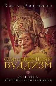 Обложка книги Совершенный буддизм. Жизнь, достойная подражания