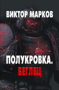 Обложка книги Беглец