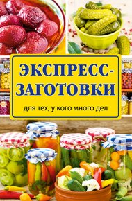 Обложка книги Экспресс-заготовки