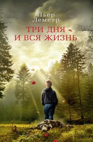 Обложка книги Три дня и вся жизнь