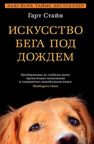 Обложка книги Искусство бега под дождем