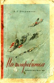 Обложка книги На истребителе