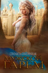 Обложка книги Мужской гарем