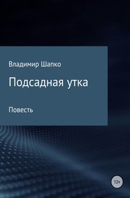 Обложка книги Подсадная утка
