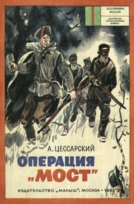 Обложка книги Операция «Мост»