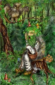 Обложка книги Сказки заповедного леса
