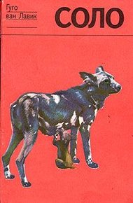 Обложка книги Соло. История щенка гиеновой собаки