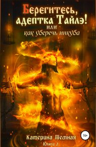 Обложка книги «Берегитесь, адептка Тайлэ!» или Как уберечь инкуба