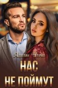 Обложка книги Нас не поймут