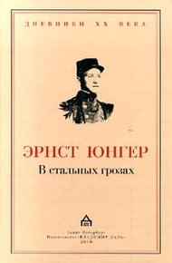 В стальных грозах