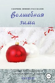 Обложка книги Волшебная зима. Сборник рассказов