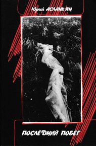 Обложка книги Последний побег